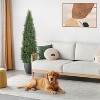 2 Pack Artificial Cedar Topiary Trees Outdoor - 5 FT UV Resistant Fake Potted Plants for Porch, Patio, Wedding Decor - 3 of 4