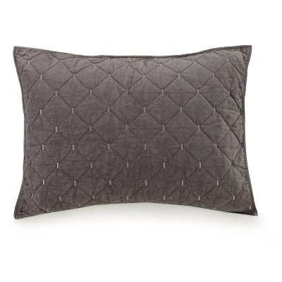 Standard Cotton Velvet Sham Gray - Ayesha Curry