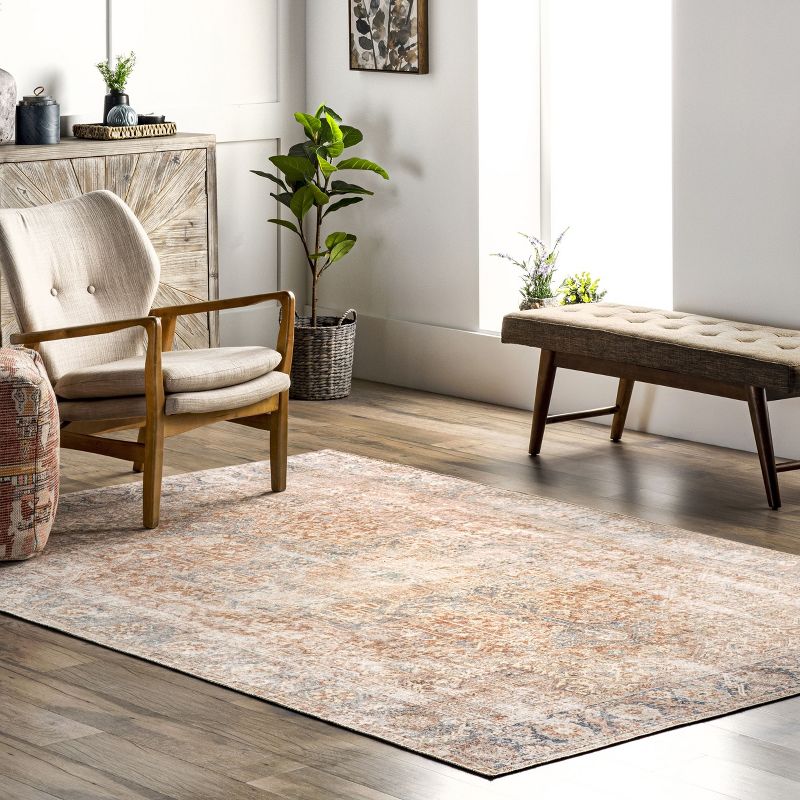 nuLOOM Brianna Traditional Distressed Area Rug, 3 of 11