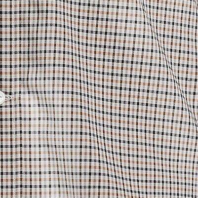 light mushroom check