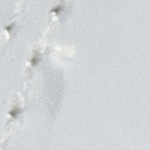 white patent