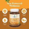 Natures Craft Sea Moss Gummies for Adults and Kids – Immune Support & Wellness Supplement Delicious Mixed Berry Flavor | Vegan | 30 Count Bottle - 4 of 4