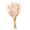 Vickerman 15" Artificial Designer Tulip Palm Stem, 6 per bag - 4 of 4