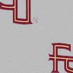 florida state seminoles