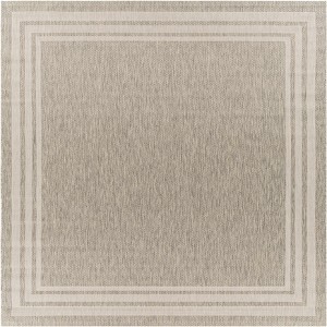 Hauteloom Burradoo Bordered Beige Rug - 1 of 4