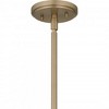 Quoizel Lighting 4 - Light Pendant in  Bronze Gold - 4 of 4
