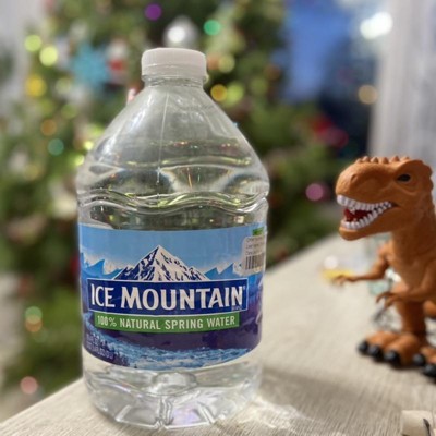 Ice Mountain Mini Natural Spring Water, 8 Fl. Oz., 12 Count 