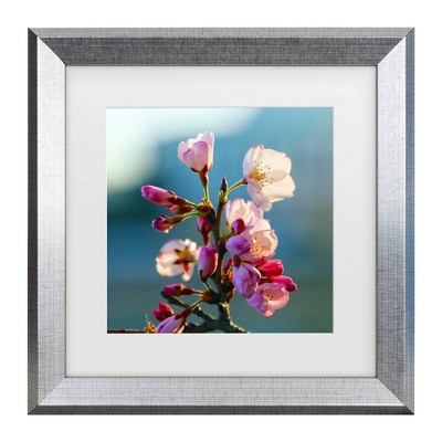 Trademark Fine Art Mich Catanzaro Cherry Blossom Matted Framed Art