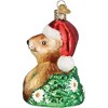 Old World Christmas Glass Blown Ornament for Christmas Tree, Santa Groundhog - 2 of 4