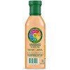 Walden Farms Street Taco Sauce Creamy Chipotle, Smoky Chipotle Flavor – 12 oz Bottle - 2 of 4