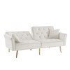 Sapphtopaz 69.60" Velvet Loveseat Sofa Modern Tufted Sofa Bed with 2 Pillows and Nailhead Trim 2-Seater Sleeper Sofa for Living Room,Bedroom - 4 of 4