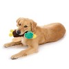 BARK Summer Big Shake Lake Mal R. Duck Dog Plush Toy - 4 of 4