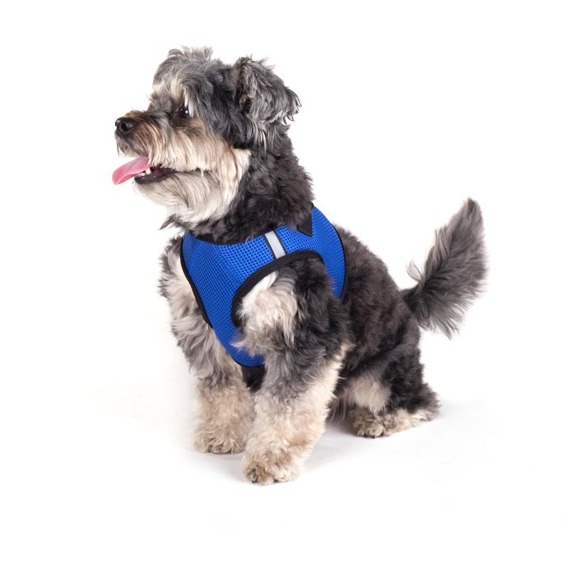 The Worthy Dog Mesh Sidekick Harness Vest, 3 of 4