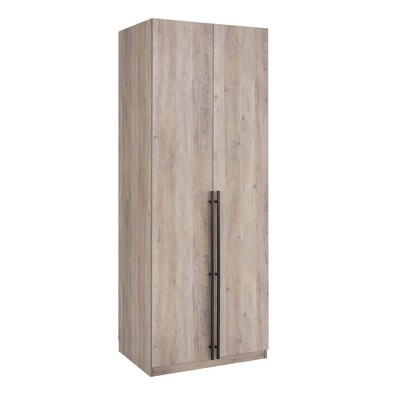 Rustic Gray 2-Door Hinged Wardrobe Closet with Metal Handles
