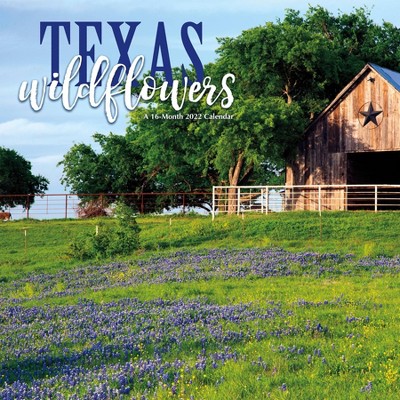 2022 Wall Calendar Texas Wildflowers - Trends International Inc