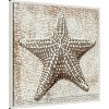 Amanti Art Aqua Marine Starfish IV by Sia Aryai Framed Wall Art Print - 2 of 4