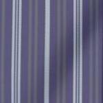 dark purple stripe