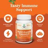 Multivitamin Gummies for Adults, Gelatin-Free Gummy Multivitamins for Men & Women with Zinc & Vitamin D, Nature's Craft, 180ct - 2 of 4