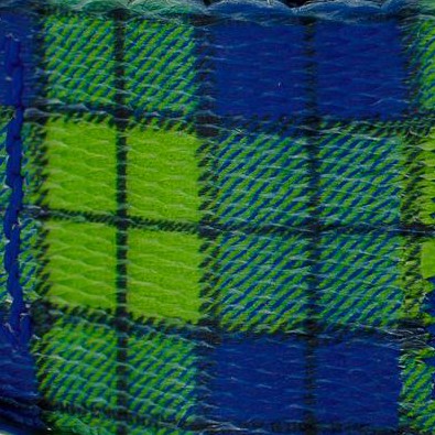 blue and green plaid