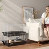 Skyzone 2-Tier Metal Small Animal Cage with Ramp, 2 Doors, Trays, Food Dish & Water Bottle for - 2 of 4