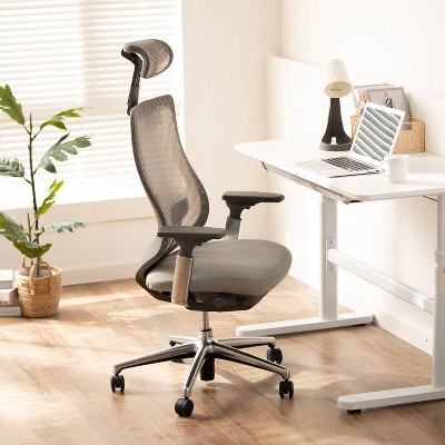 COLAMY ATLAS Ergonomic Mesh Back Office Chair with Slide Seat