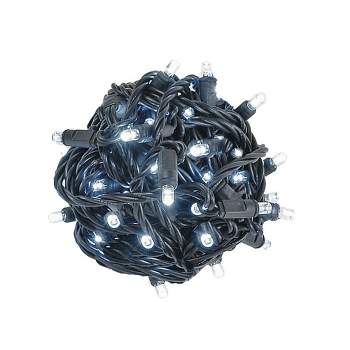 Novelty Lights 50 Light LED Christmas Mini Light Set (Black Wire, 25 Feet)