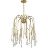 Savoy House Anholt 6 - Light Chandelier in  Noble Brass - 2 of 3