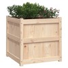 vidaXL Garden Planters - Decorative Outdoor Herb Plant Pots, Solid Pine Wood, 23.6 x 23.6 x 23.6 inches, 2 Pcs, Brown/Natural - 4 of 4