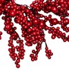 Northlight Berries Artificial Christmas Twig Wreath - 16" - Red - Unlit - 4 of 4