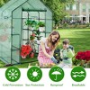 Costway Walk-in Greenhouse 56''x56''x77'' Gardening w/Observation Windows 2 Tier 8 Shelves - 4 of 4
