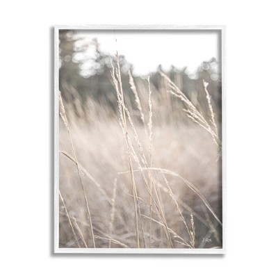 Stupell Tall Grass Countryside Field Framed Giclee