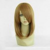 Unique Bargains Women's Wigs with Wig Cap Medium Long Hair Brown 18" - 2 of 4