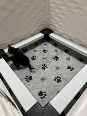 Guest review image 3 of 3, zoom in