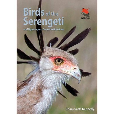 Birds of the Serengeti - by  Adam Scott Kennedy (Paperback)