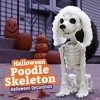 Halloween Poodle Dog Skeleton Decoration, Plastic Animal Bones Prop- Party Decor, Haunted Houses- Sitting Puppy Statue with Furry Ears & Moving Limbs - 3 of 4
