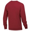 NCAA Arkansas Razorbacks Men's Crew Neck Fleece Sweatshirt - 2 of 3