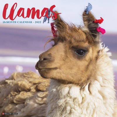 2022 Wall Calendar Llamas - Willow Creek Press