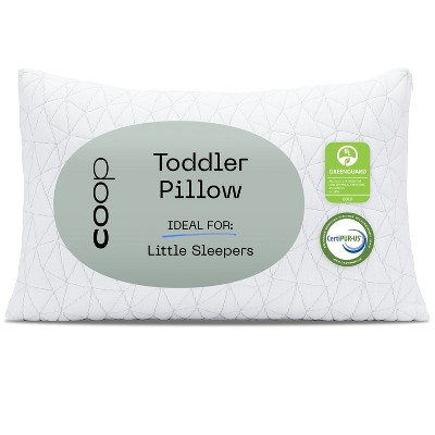 Coop home goods travel pillow best sale