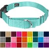 Country Brook Petz Heavy Duty Nylon Martingale Dog Collar with Deluxe Buckle - 30+ Vibrant Color Options - 2 of 4
