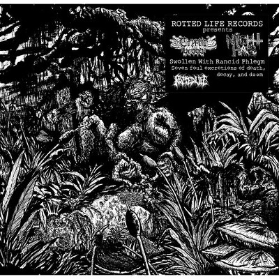 Cryptic Brood & Night Hag - Swollen With Rancid Phlegm (Vinyl)
