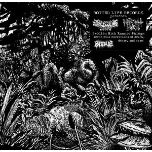 Cryptic Brood & Night Hag - Swollen With Rancid Phlegm (Vinyl) - 1 of 1