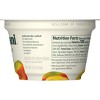Chobani Greek Yogurt - 3 of 4