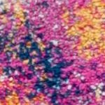 fuchsia/multi
