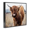 Stupell Industries Grazing Longhorn Cattle Farmland Animal Portrait Black Framed Giclee Art - 3 of 4