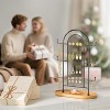 Earring Organizer Stand with 300 Holes & 6 Hooks, Wood Tray Display for Stud Earrings, Necklaces & Bracelets - 3 of 4