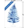 Trends International Jean Plout - Indigo Botanical Asoidium Angulare Unframed Wall Poster Prints - 3 of 4