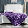 Cozy Bliss Faux Fur Throw Blankets, Plush Fuzzy Soft Thick Bubble Blanket for Sofa, Bedroom, Living Room - 2 of 4