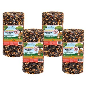 JCS Wildlife Squirrel Stopper Wild Bird Feast Small Cylinder 1.5lbs - 1 of 4