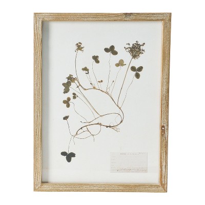 Set of 6 Botanical Prints in Light Brown Wood Frames