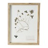 Storied Home (Set of 6) Botanical Wood Framed Wall Art Set: Modern Fir Decor, Vertical Orientation, Autumn Theme - 4 of 4